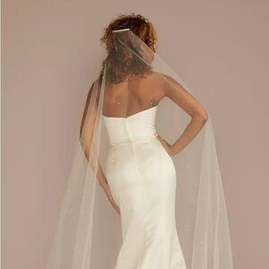 Scattered Pearl Tulle Cathedral Veil